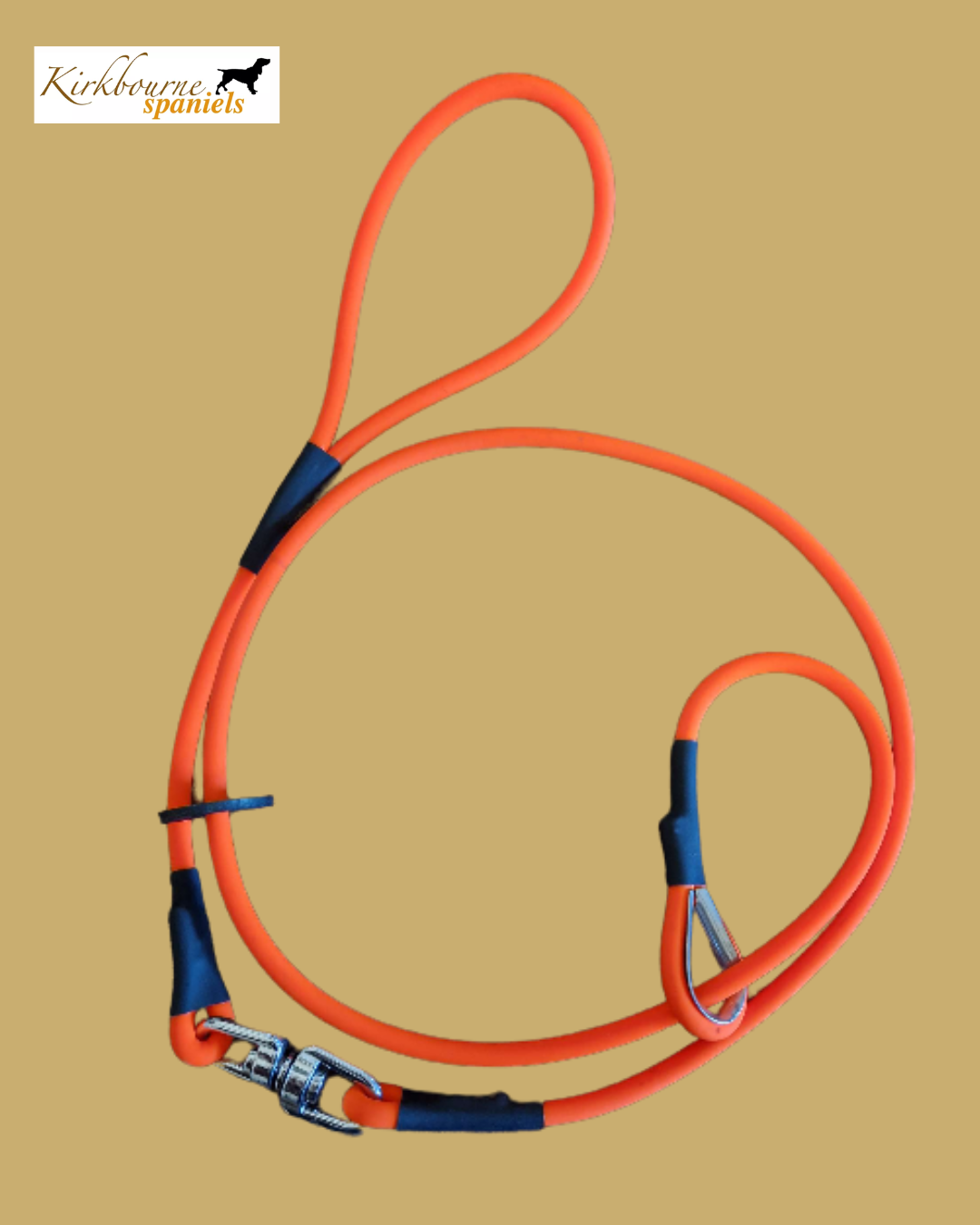 KB Jive Slip Lead - Biothane 6mm