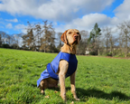 Kirkbourne Handmade Cooling Coat