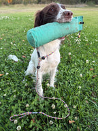 Dog in training wearing Kirkbourne Spaniels KB Double Stopper Slip Lead. Safe limited slip lead alternative to figure of 8 - dual stoppers prevent over-tightening. Designed by Darren Kirk, handmade in Yorkshire.
