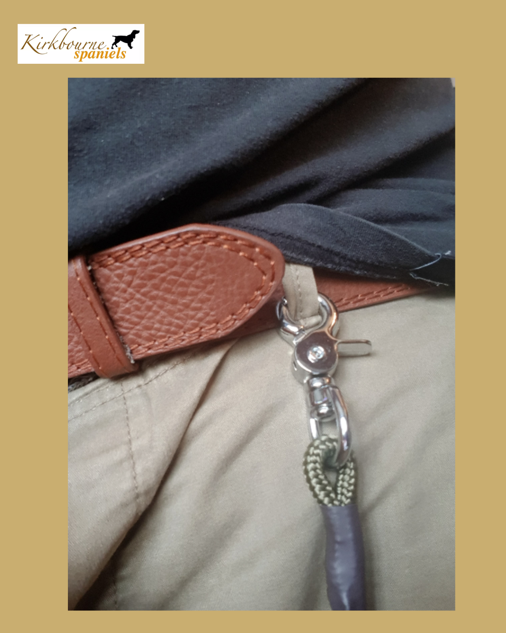 Kirkbourne Spaniels KB Field Trial Relax Pro clipped to handler's belt - marine-grade swivel claw clip, hands free gundog slip lead for field trials and competitive handlers. Handmade in Yorkshire.