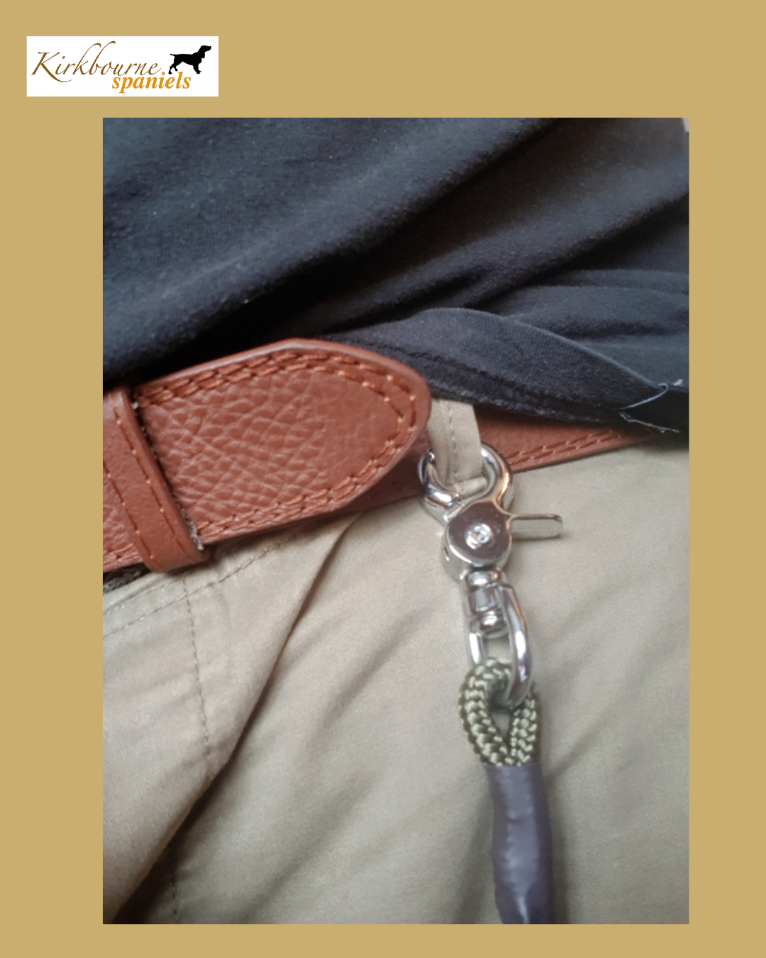 Kirkbourne Spaniels KB Field Trial Relax Pro clipped to handler's belt - marine-grade swivel claw clip, hands free gundog slip lead for field trials and competitive handlers. Handmade in Yorkshire.