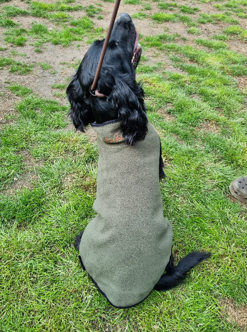 The Kirkbourne Dog Fleece - Clearance