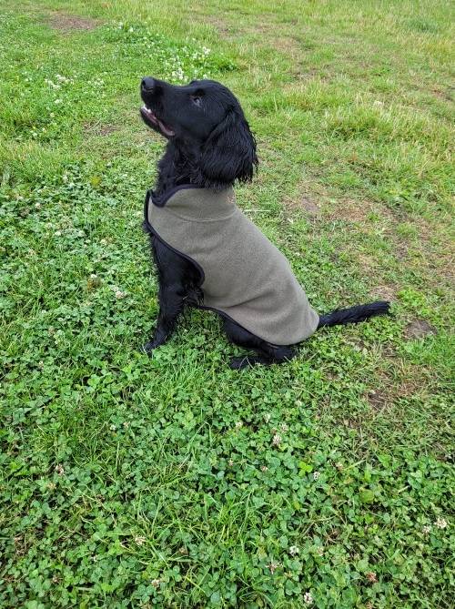 The Kirkbourne Dog Fleece - Clearance