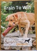 Train To Win Manual