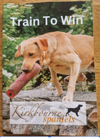 Train To Win Manual
