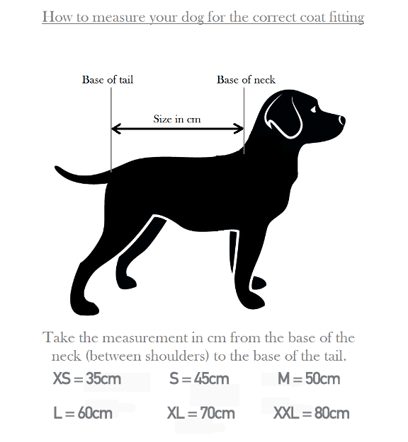 A sizing guide for measuring a dog's coat fit, showing a black silhouette of a dog with labeled measurements from the base of the neck to the base of the tail. Text at the top reads 'How to measure your dog for the correct coat fitting' and a table at the bottom lists coat sizes S through XXL with corresponding centimeter measurements. 