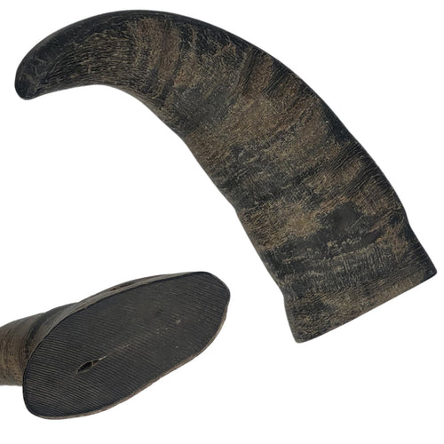 Solid buffalo horn dog chew in three sizes - L, XL and XXL - natural and odourless, handpicked by Kirkbourne Spaniels