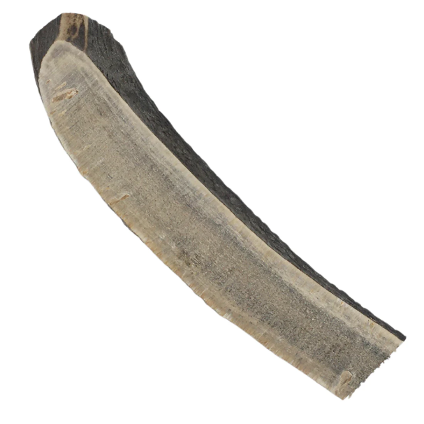 Split red deer antler dog chew in Medium, Large and XL - naturally shed, odourless and ideal for puppies and softer chewers, handpicked by Kirkbourne Spaniels