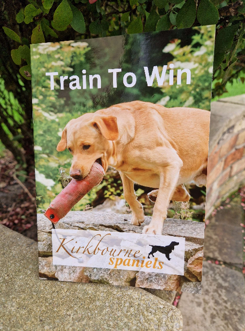 Train To Win Manual