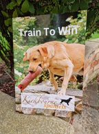 Train To Win Manual