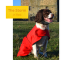 Kirkbourne Handmade Dog Drying Coats