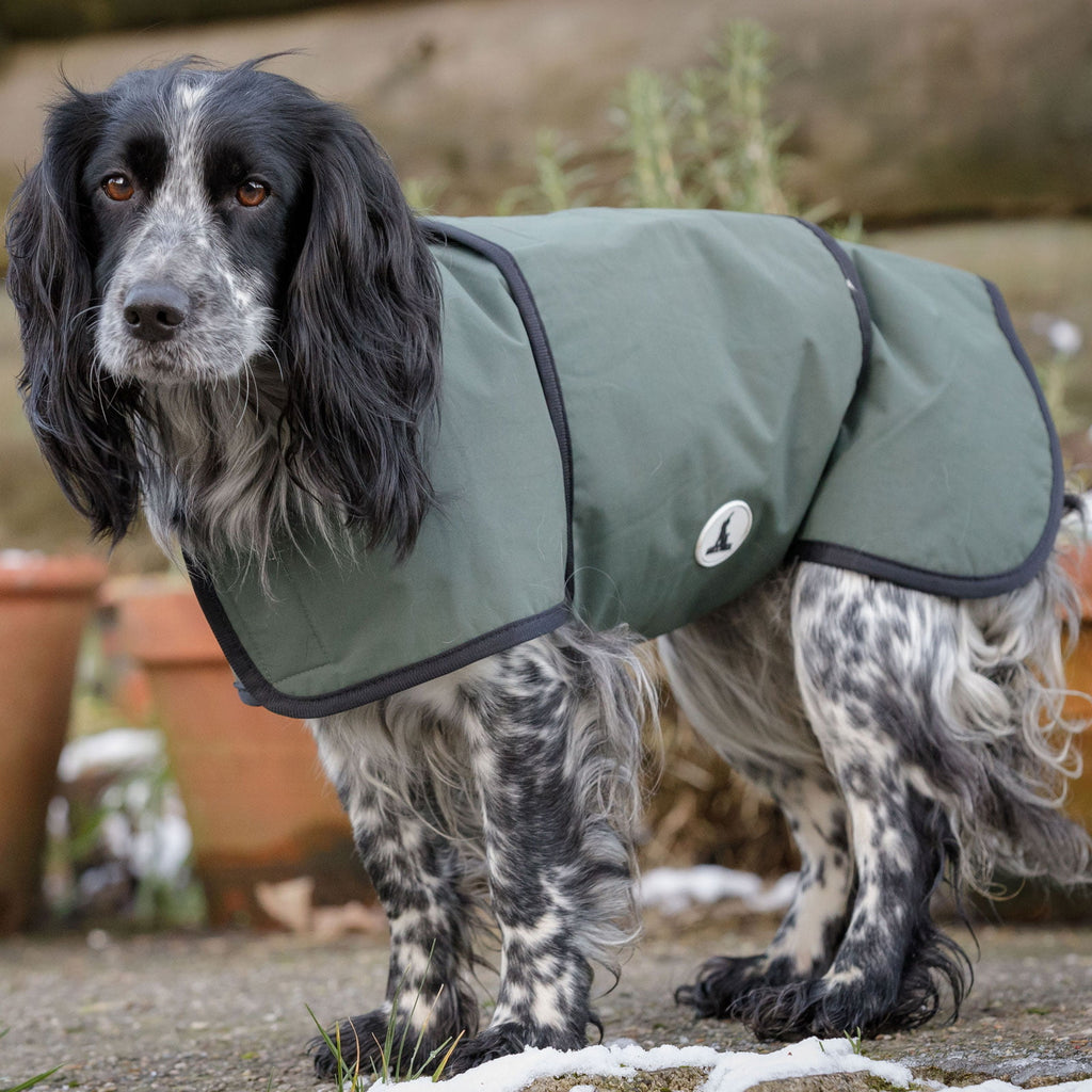 Dog & Field 2-in-1 waterproof drying coat size medium - waterproof outer shell microfibre inner for working dogs