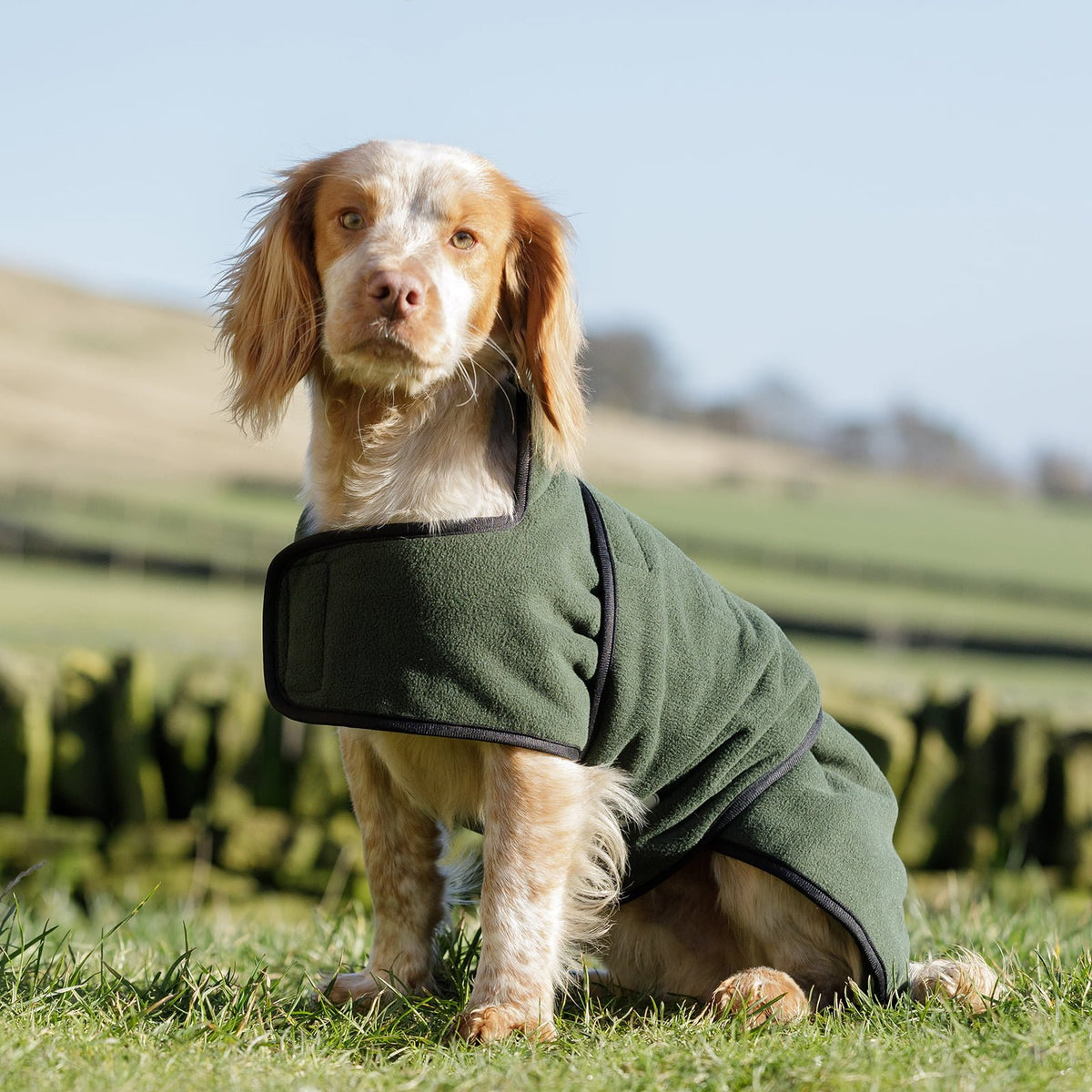 Dog & Field dual layer olive towelling drying coat for gundogs - stocked by Kirkbourne Spaniels