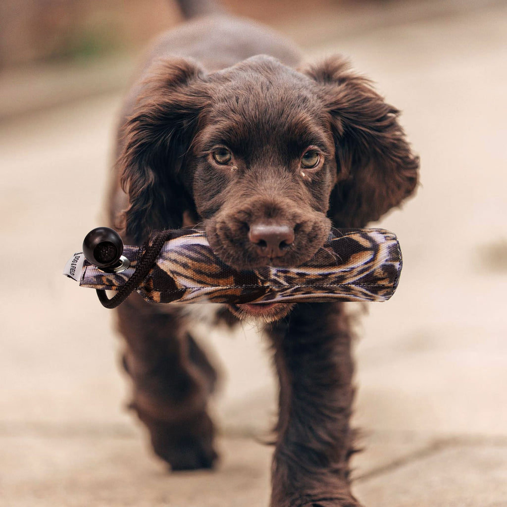 Puppy retrieving Dog & Field Original Clone 100g snipe dummy - lightweight 100g HD feather print canvas dummy ideal for introducing young gundogs and puppies to game bird retrieve training