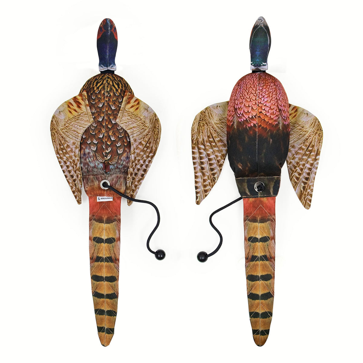 Dog & Field Original Clone cock pheasant dead bird dummy front and back comparison - deep detail immersion ultra-HD feather print both sides with lifelike head wings and tail for shooting day retrieve training