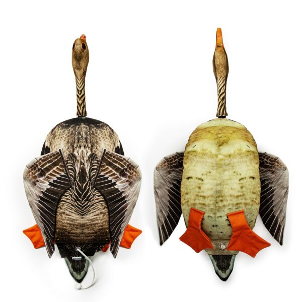 Dog & Field Original Clone goose dead bird dummy front and back comparison - ultra-HD goose feather print both sides with scent retaining real-feel material for realistic gundog retrieve training on shooting days