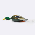 Dog & Field Original Clone mallard dead bird dummy top view - ultra-HD mallard duck feather print with realistic head wings feet and tail for gundog pick up carry and delivery training