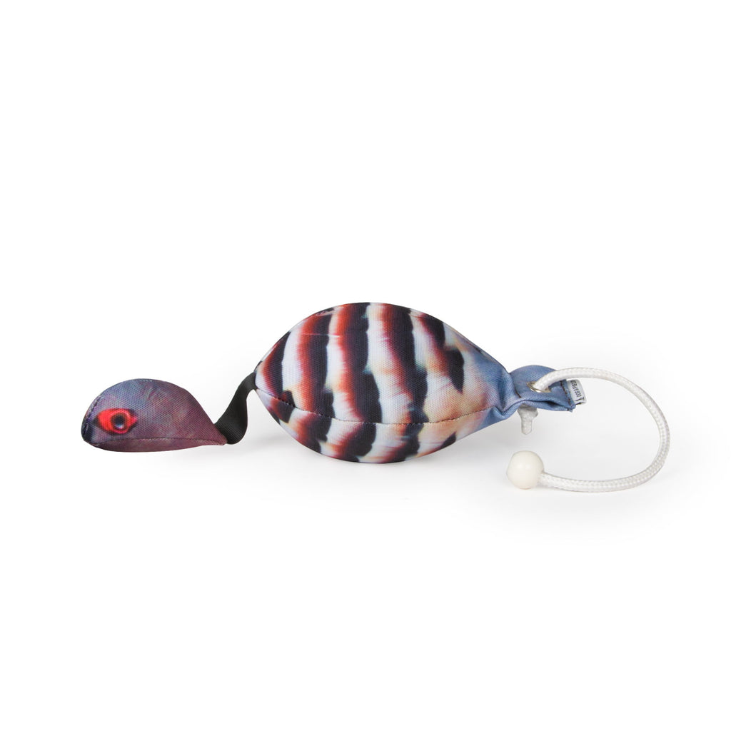 Dog & Field Original Clone partridge bird dummy top view - HD photographic feather print canvas with lifelike red-legged partridge body shape size and weight for gundog retrieve training