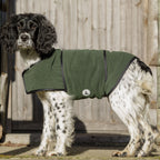 Gundog in olive drying coat after water retrieve - Dog & Field dual layer coat used at Kirkbourne Spaniels shoot days