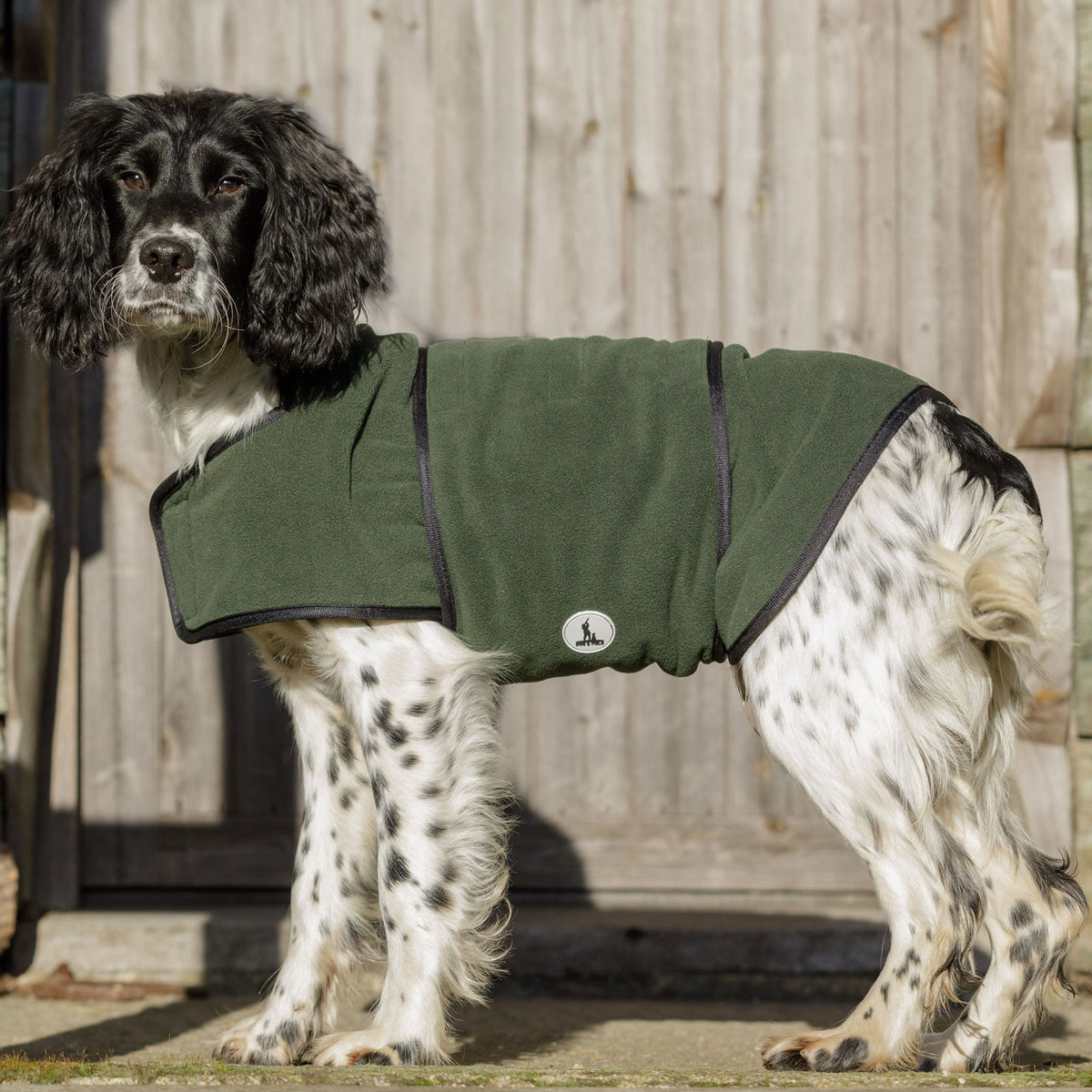 Gundog in olive drying coat after water retrieve - Dog & Field dual layer coat used at Kirkbourne Spaniels shoot days