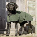 Gundog wearing Dog & Field olive dual layer drying coat - microfibre inner fleece outer full body coverage