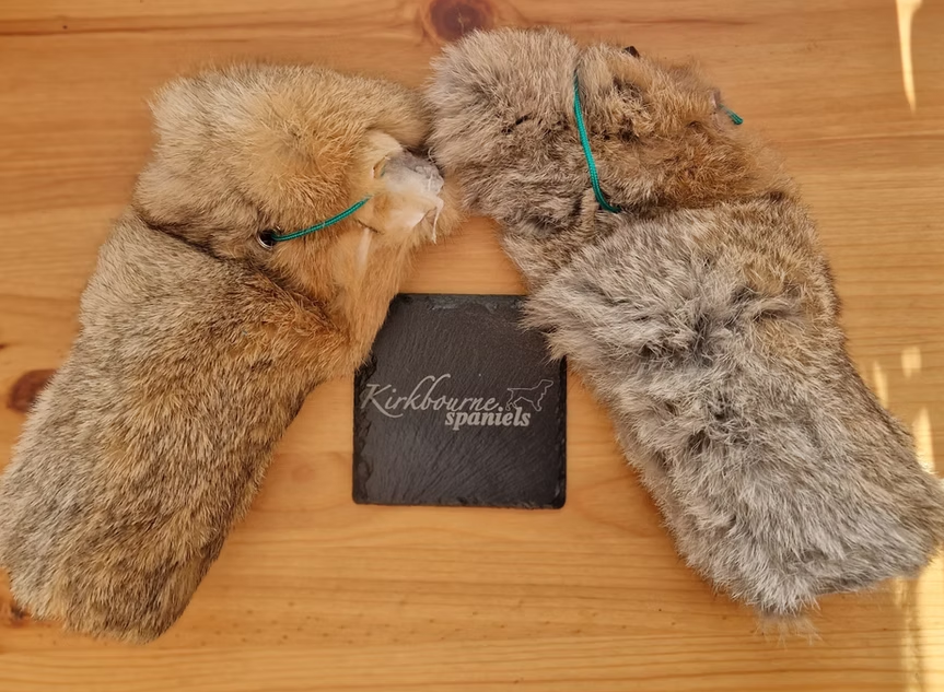 half pound rabbit fur dummy - as used at Kirkbourne Spaniels gundog training with real rabbit fur and white tail replica for introduction to fur retrieve training