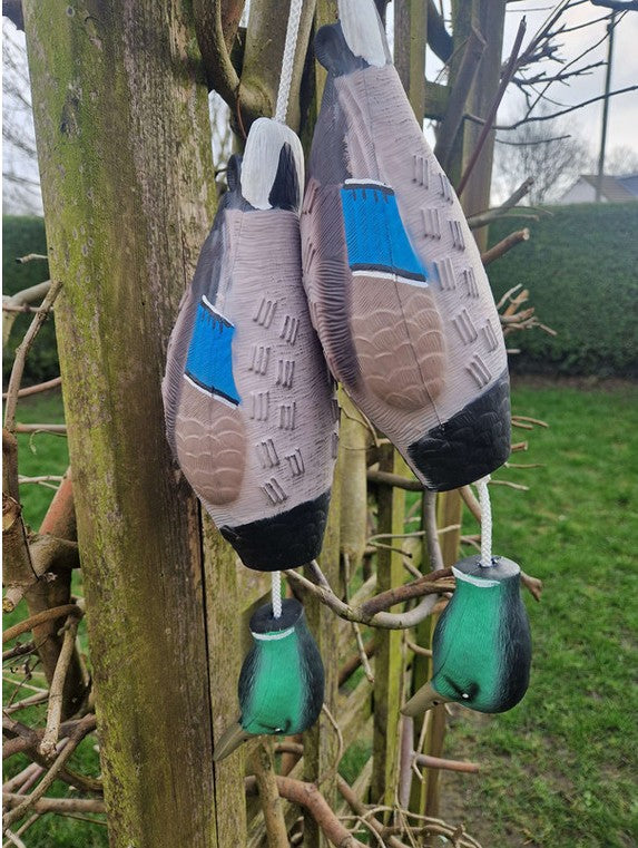 Kirkbourne Spaniels KB Mallard dummy hanging - lifelike lightweight mallard gundog training dummy with swinging head and throwing toggle suitable for land and water retrieve training
