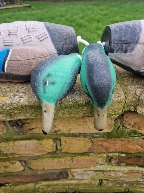 Close-up detail of Kirkbourne Spaniels KB Mallard dummy head - realistic swinging mallard head design for building correct mouth placement and confident carry in gundogs during retrieve training