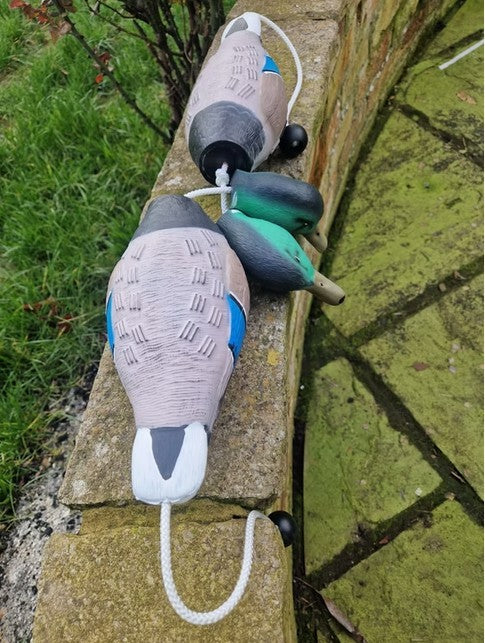 Kirkbourne Spaniels KB Mallard dummies displayed on a wall - lifelike small lightweight mallard training dummies with swinging head and throwing toggle for introducing gundogs to realistic duck retrieve work