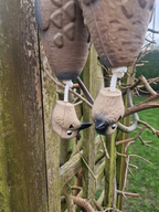 Close-up detail of Kirkbourne Spaniels KB Small Pigeon dummy head - realistic swinging pigeon head design for building correct mouth placement and confident carry in gundogs during retrieve training