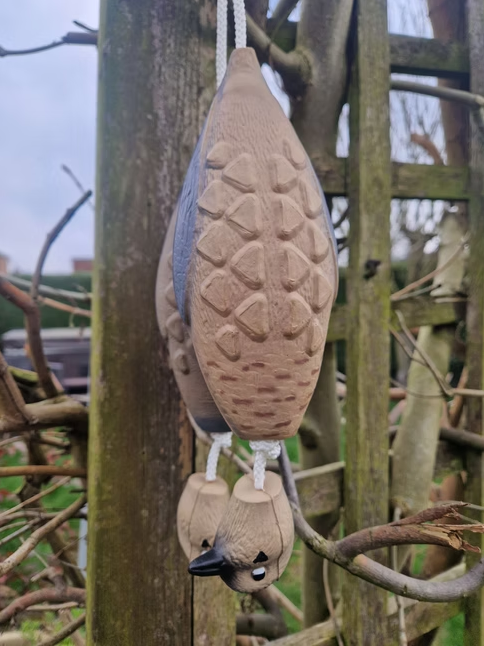 Kirkbourne Spaniels KB Small Pigeon dummies displayed on a wall - lifelike small lightweight pigeon training dummies with swinging head and throwing toggle for introducing gundogs to realistic pigeon retrieve work