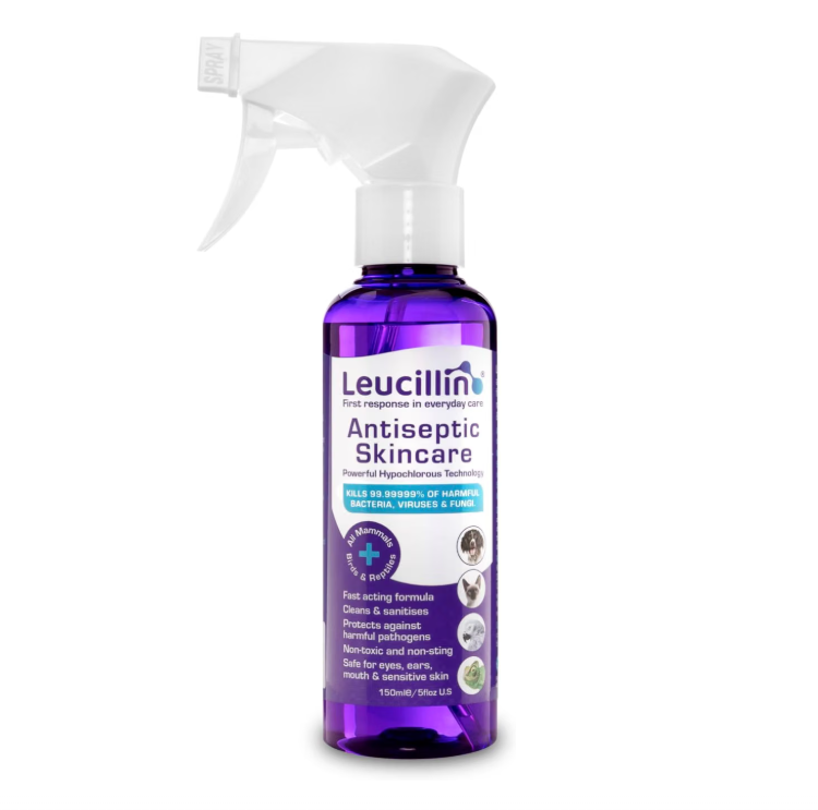 Leucillin antiseptic skincare 150ml spray bottle - Hypochlorous acid HOCl antiseptic for home kennel and yard use antibacterial antiviral antifungal safe for dogs handlers and all mammals non-toxic