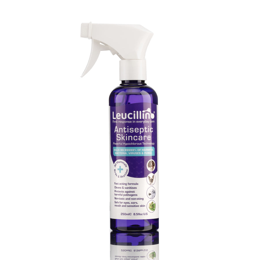 Leucillin antiseptic skincare 250ml spray bottle - Hypochlorous acid HOCl formula for everyday kennel and home use kills up to 99.99999% of germs safe for dogs and handlers non-toxic no sting no rinse