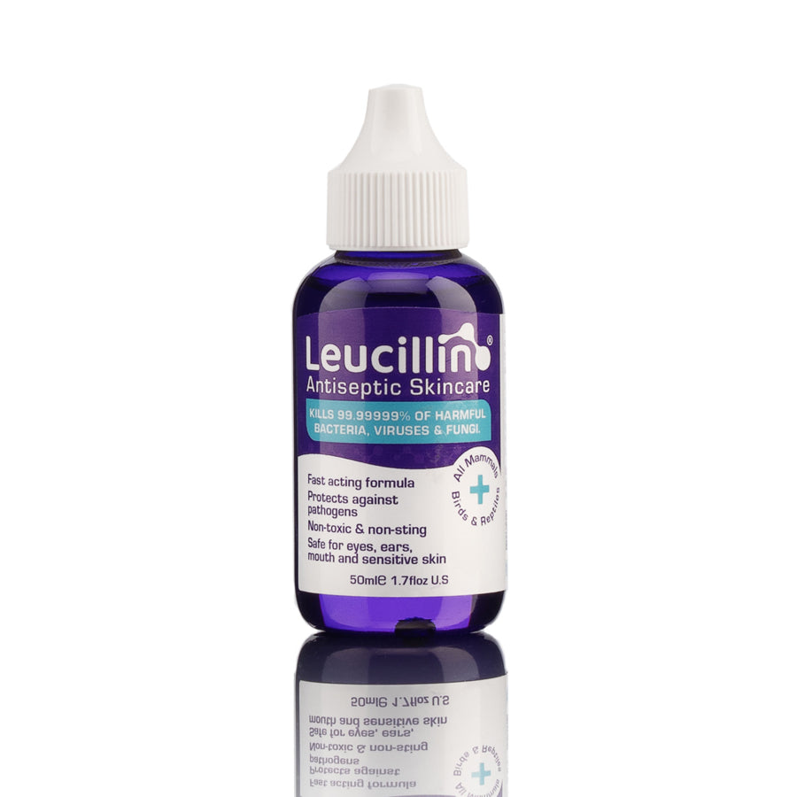 Leucillin antiseptic skincare 50ml dropper bottle - Hypochlorous acid HOCl formula kills up to 99.99999% of germs safe for dogs handlers and all mammals non-toxic no sting no rinse required