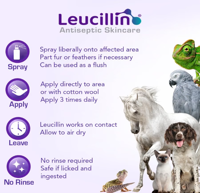 How to use Leucillin antiseptic spray - spray twice to clear nozzle then apply liberally direct to skin or wound for sensitive areas saturate cotton wool and apply gently safe for dogs and handlers