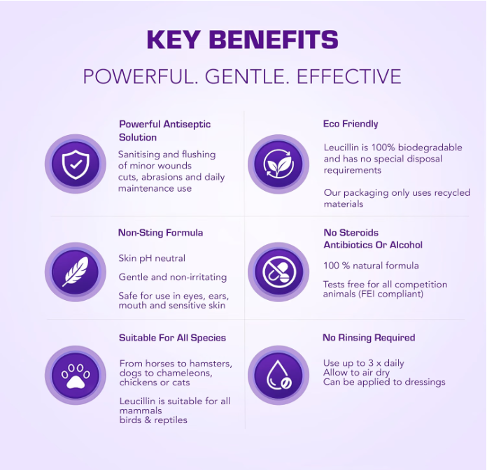 Leucillin antiseptic skincare key benefits - antibacterial antiviral antifungal no steroids no antibiotics no alcohol non-toxic no sting no rinse safe on eyes ears and sensitive skin safe if licked or ingested