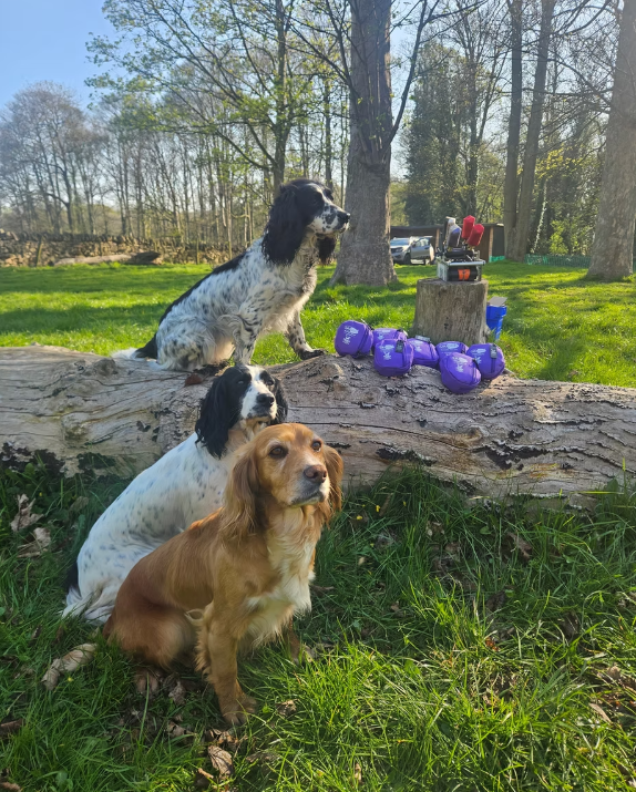 Gundog alongside Leucillin Poorly Paws first aid kit - pocket-sized award-winning pet first aid kit with 30ml Leucillin antiseptic tick removers and step-by-step QR video tutorials for field emergencies