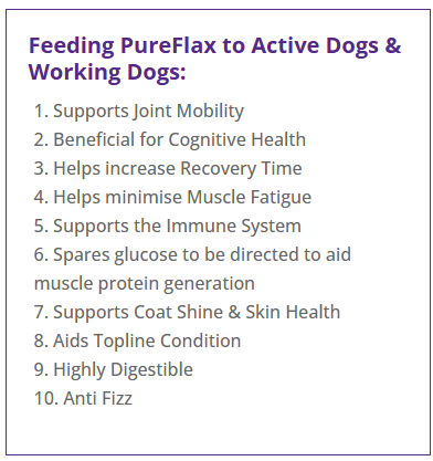 Pureflax flax oil benefits for active and working dogs - supports joint function recovery between sessions coat condition through winter and immune function across a full season 58% Omega 3 as used at Kirkbourne Spaniels