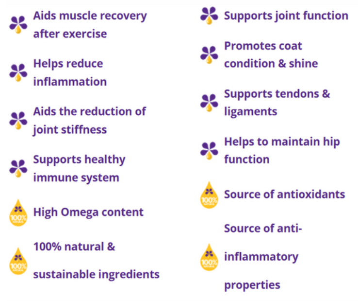 Benefits of Pureflax working dog oil - 58% Omega 3 balanced Omega 6 and Omega 9 antibacterial antifungal cold-pressed 100% natural grown and bottled on a single Yorkshire farm field to bottle in 400 yards