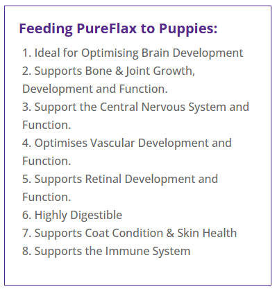 Pureflax flax oil benefits for puppies from 8 weeks - supports joint development bone growth and cognitive function 58% Omega 3 cold-pressed 100% natural Yorkshire linseed oil suitable from 8 weeks as used at Kirkbourne Spaniels