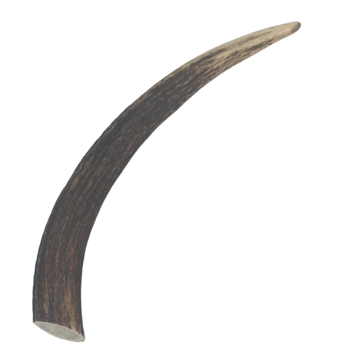 Deer Antler chews - whole antlers