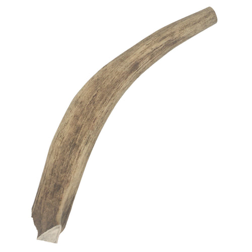 Deer Antler chews - whole antlers