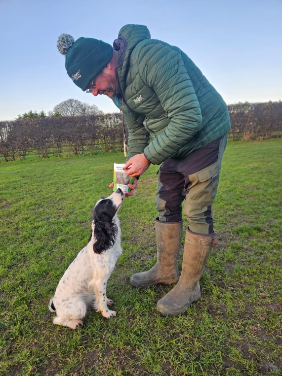 Gundog with VetSpec High Energy Treats - chicken-based high energy working dog treats 358kcal per 100g with banana blueberry linseed and honey as used at Kirkbourne Spaniels for training rewards and shoot days